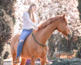 Halsringreiten Pferd, Handgemachter Halsring